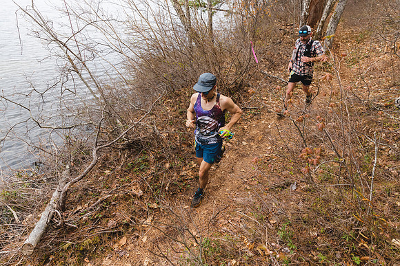 White Mountain Endurance x Aravaipa