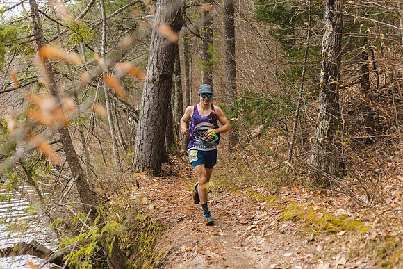 White Mountain Endurance x Aravaipa