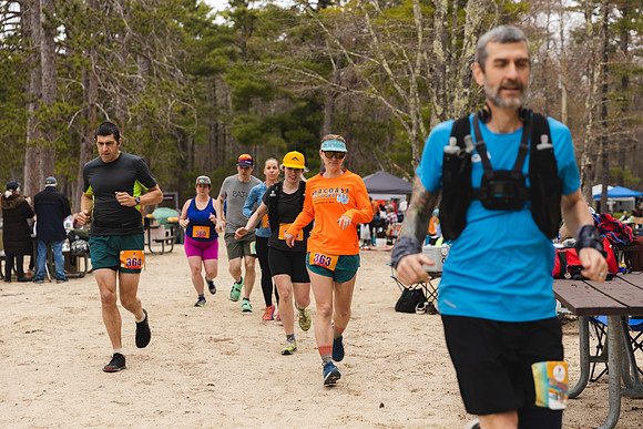 White Mountain Endurance x Aravaipa