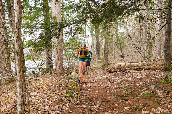 White Mountain Endurance x Aravaipa