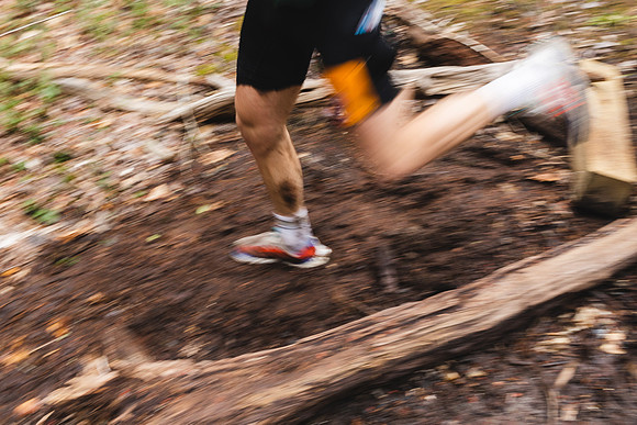 White Mountain Endurance x Aravaipa