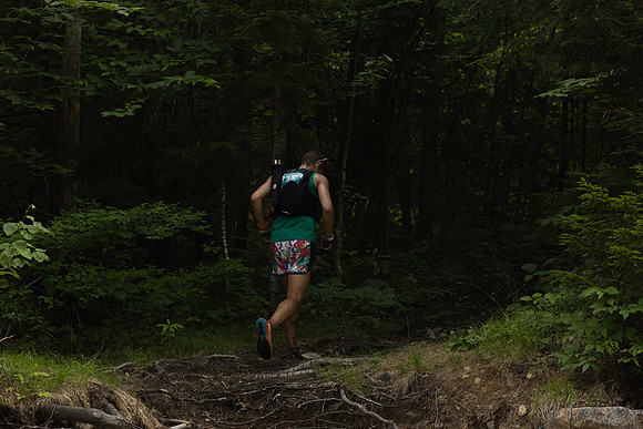 White Mountain Endurance x Aravaipa