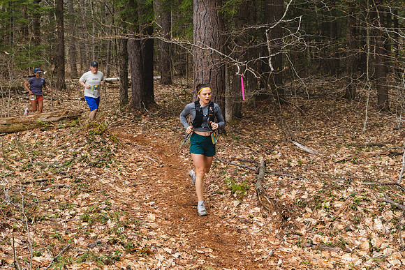 White Mountain Endurance x Aravaipa
