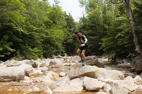 White Mountain Endurance x Aravaipa