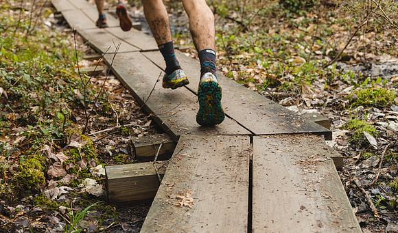 White Mountain Endurance x Aravaipa