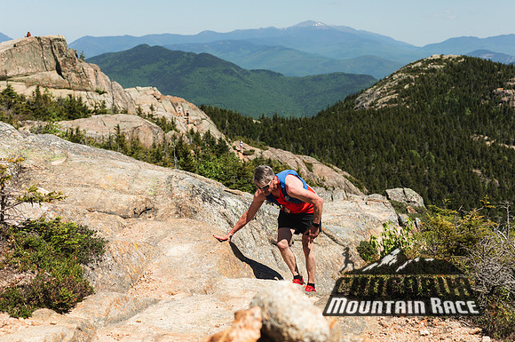 White Mountain Endurance x Aravaipa