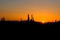 2010 Mesquite Canyon