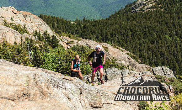 White Mountain Endurance x Aravaipa