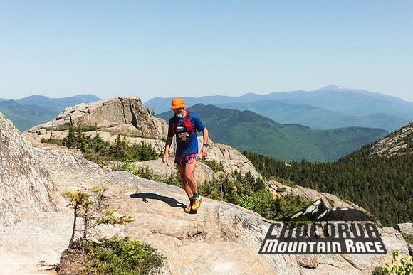 White Mountain Endurance x Aravaipa