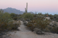 02 - 50 Mile