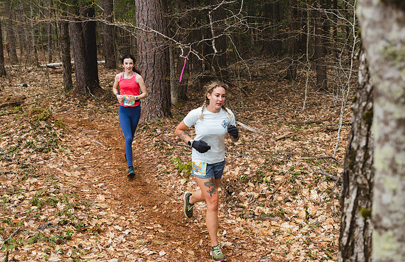 White Mountain Endurance x Aravaipa