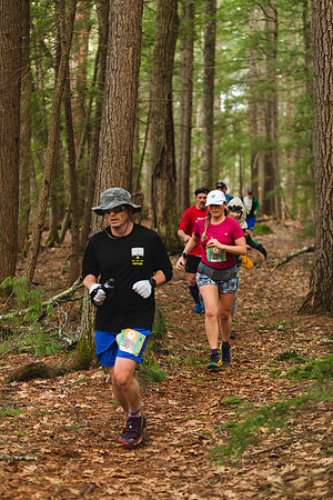 White Mountain Endurance x Aravaipa
