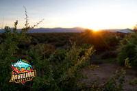 Morning Near Jackass Junction