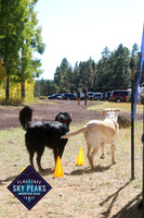 Hotshots Ranch 50 Mile Finish-photos