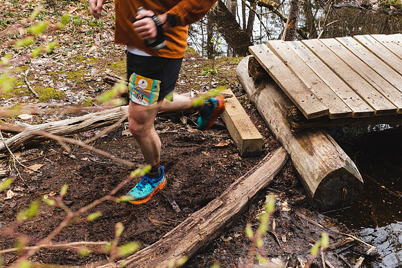White Mountain Endurance x Aravaipa