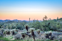 Landscape & Misc. by Rachel Jump