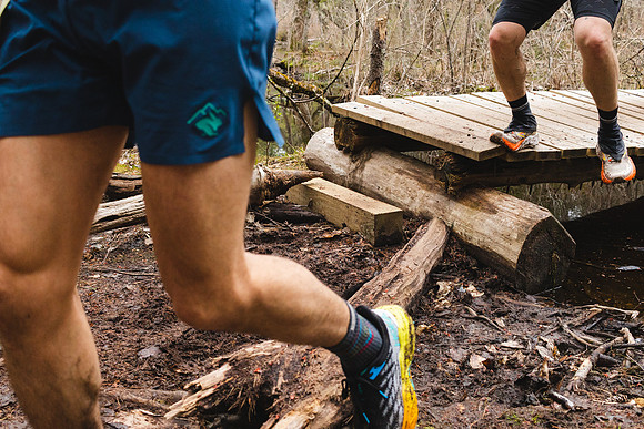 White Mountain Endurance x Aravaipa