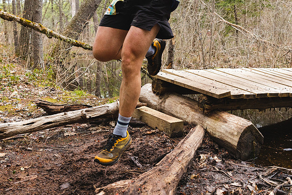 White Mountain Endurance x Aravaipa