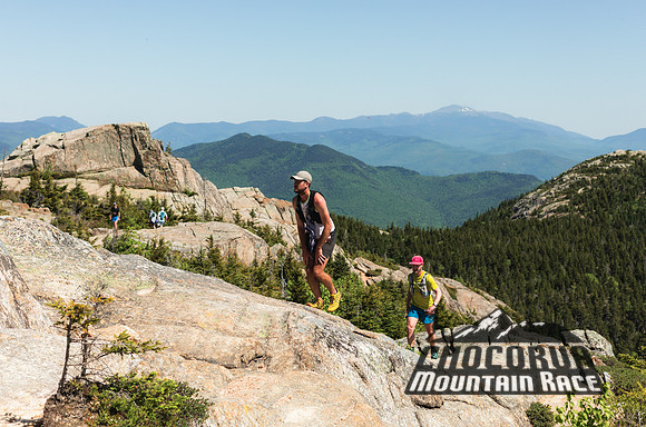 White Mountain Endurance x Aravaipa