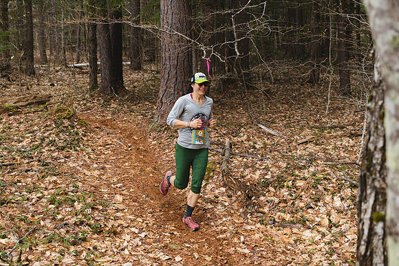 White Mountain Endurance x Aravaipa