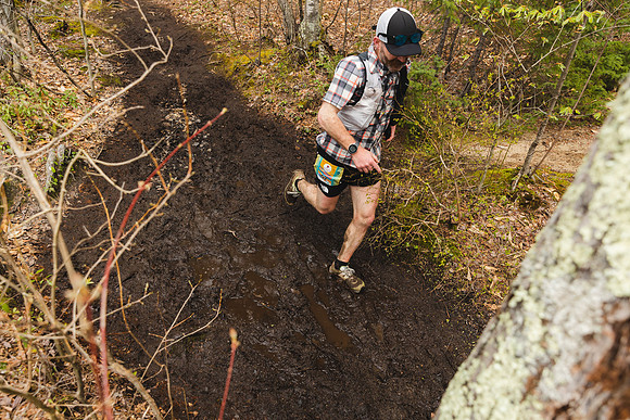 White Mountain Endurance x Aravaipa