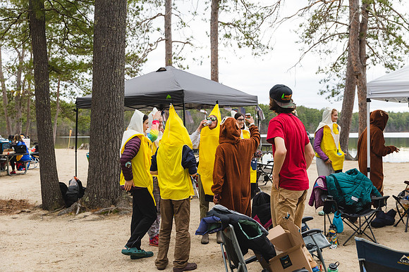 White Mountain Endurance x Aravaipa