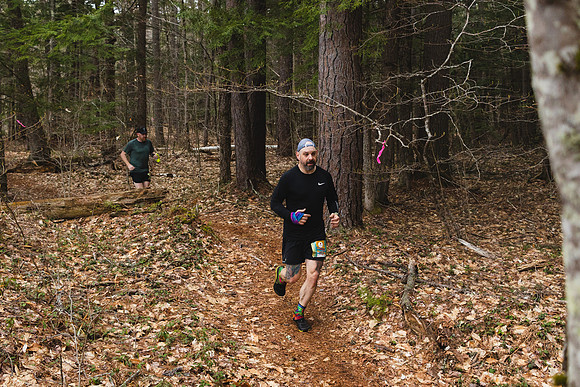 White Mountain Endurance x Aravaipa