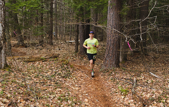 White Mountain Endurance x Aravaipa