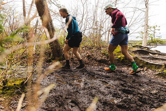 White Mountain Endurance x Aravaipa