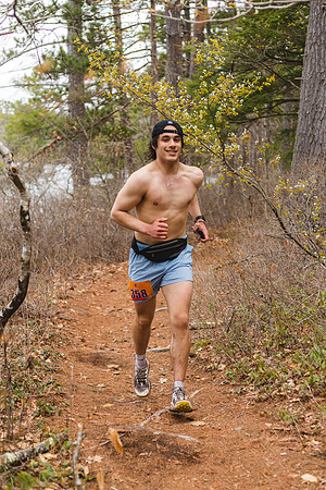 White Mountain Endurance x Aravaipa