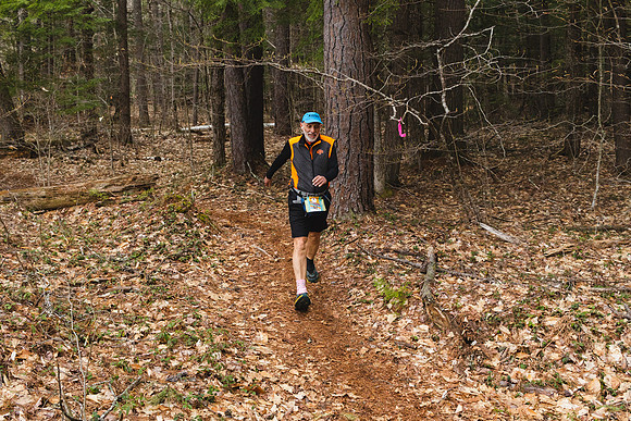 White Mountain Endurance x Aravaipa