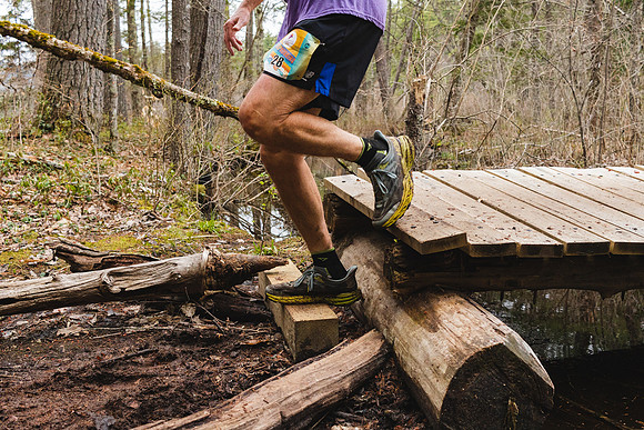 White Mountain Endurance x Aravaipa