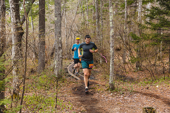 White Mountain Endurance x Aravaipa