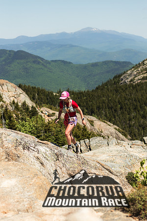 White Mountain Endurance x Aravaipa