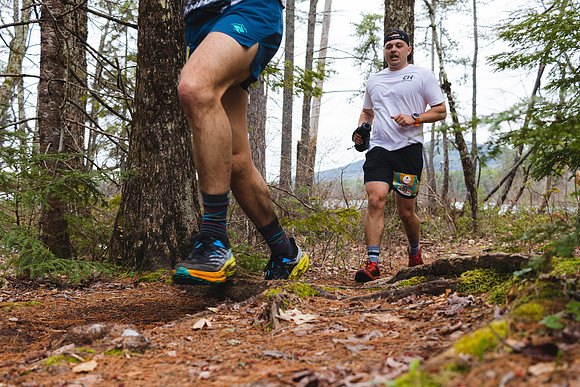 White Mountain Endurance x Aravaipa
