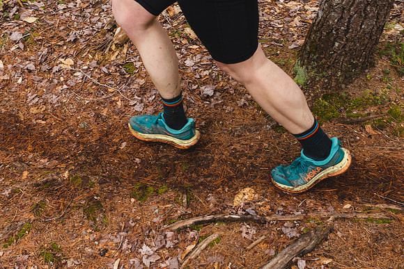 White Mountain Endurance x Aravaipa