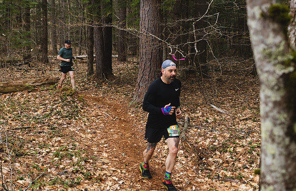 White Mountain Endurance x Aravaipa
