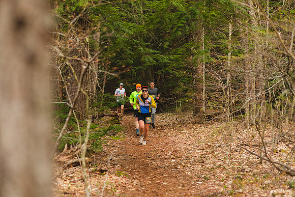 White Mountain Endurance x Aravaipa