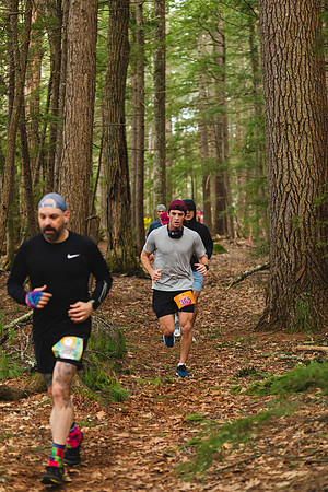 White Mountain Endurance x Aravaipa