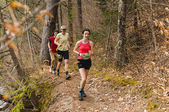 White Mountain Endurance x Aravaipa