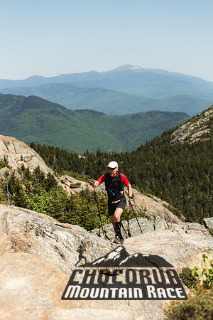 White Mountain Endurance x Aravaipa