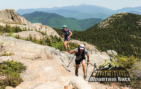 White Mountain Endurance x Aravaipa
