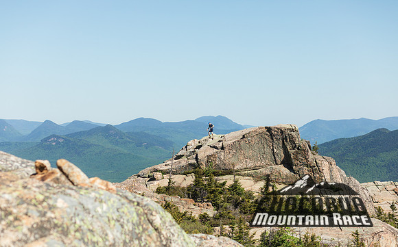 White Mountain Endurance x Aravaipa