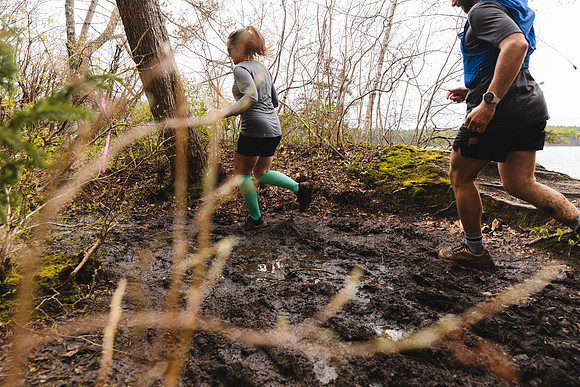White Mountain Endurance x Aravaipa