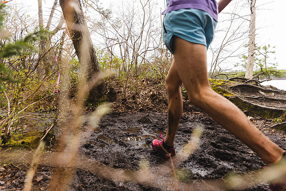 White Mountain Endurance x Aravaipa
