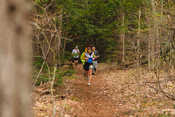 White Mountain Endurance x Aravaipa