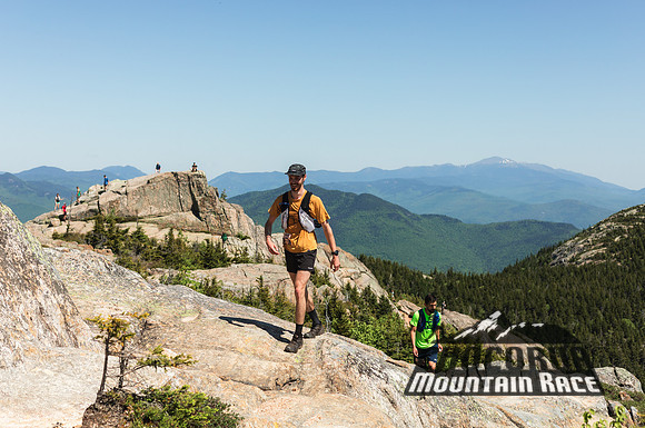 White Mountain Endurance x Aravaipa