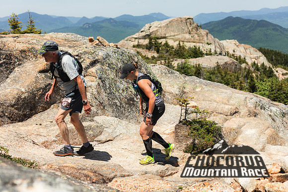 White Mountain Endurance x Aravaipa