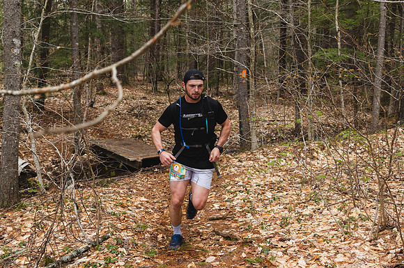 White Mountain Endurance x Aravaipa