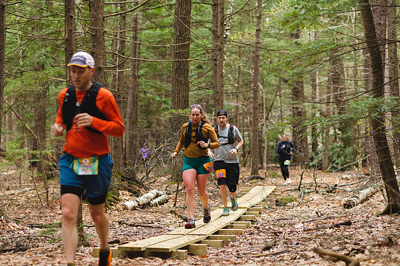 White Mountain Endurance x Aravaipa